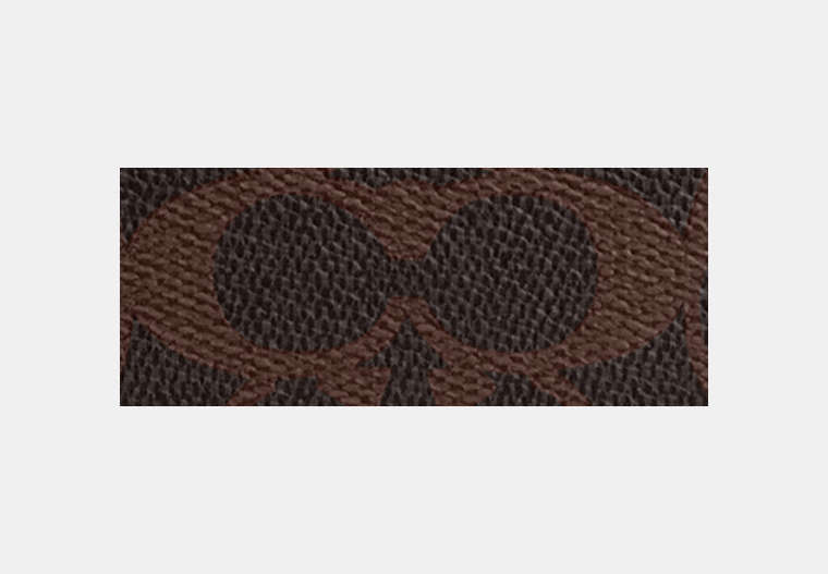 Plaza Bag 18 In Signature Canvas