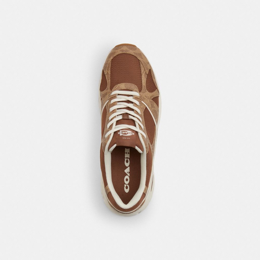 Sport Sneaker In Signature Canvas