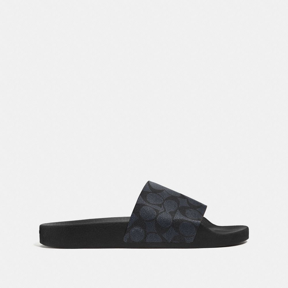 Pool Slide In Signature Canvas