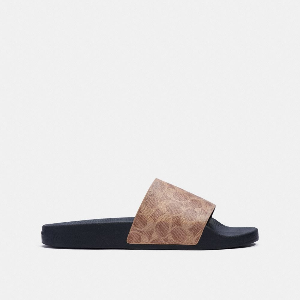 Pool Slide In Signature Canvas