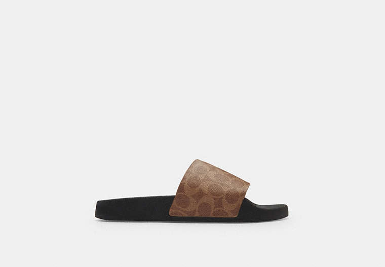 Slide In Signature Canvas