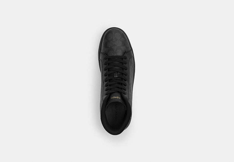 High Line High Top Sneaker In Signature Canvas