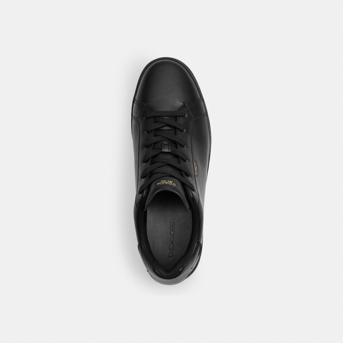 High Line Sneaker