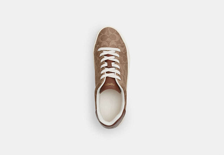 High Line Sneaker In Signature Canvas