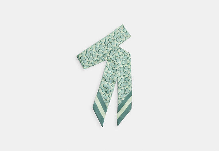 Signature Silk Skinny Scarf