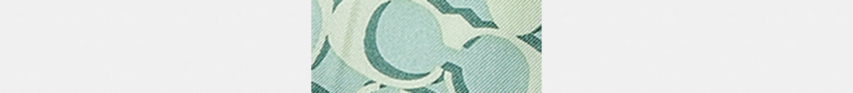 Signature Silk Skinny Scarf
