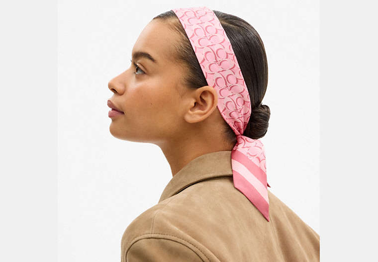 Signature Silk Skinny Scarf
