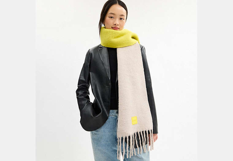 Colorblock Muffler With Rubber Patch