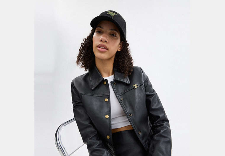 Rexy Patch Baseball Hat