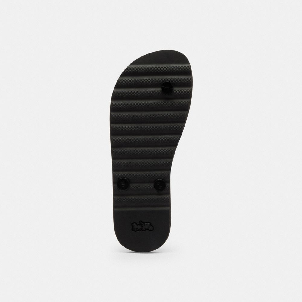 Zayn Flip Flop