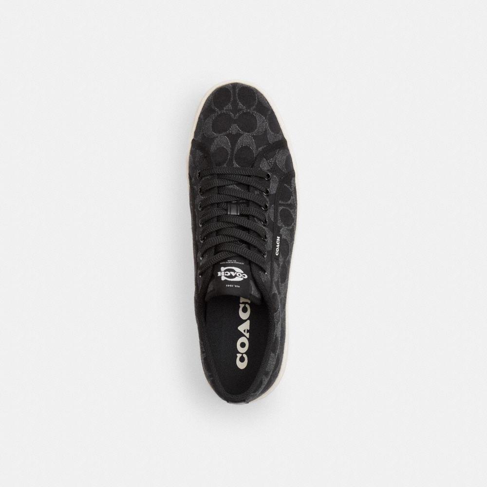 Canvas Sneaker In Signature Denim