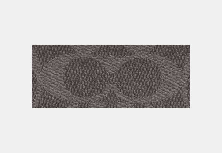Zip Card Case With Chain In Signature Canvas