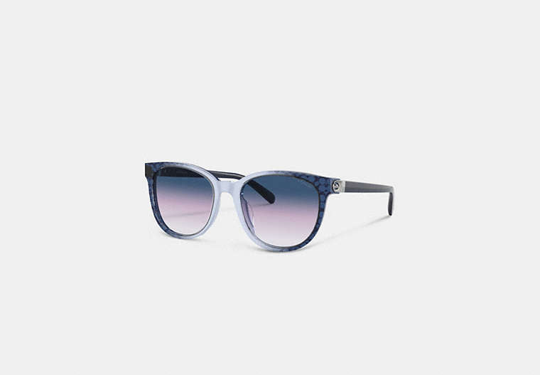 Horse And Carriage Round Sunglasses