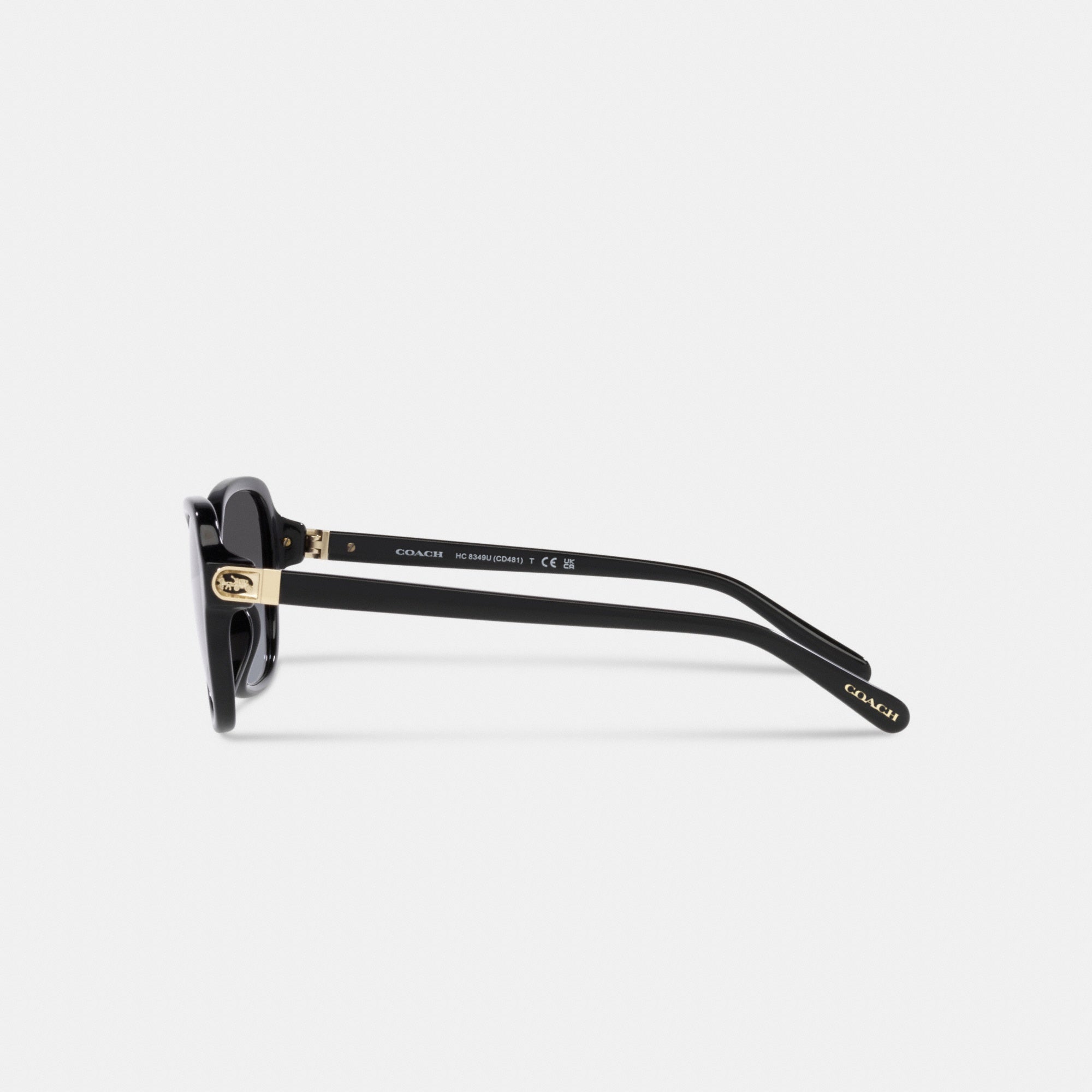 Hinged Horse And Carriage Square Sunglasses