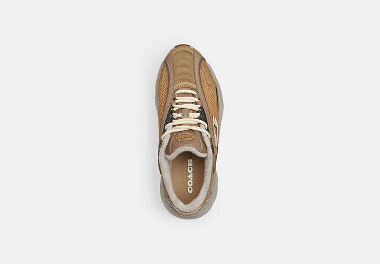 Bolt Runner Sneaker