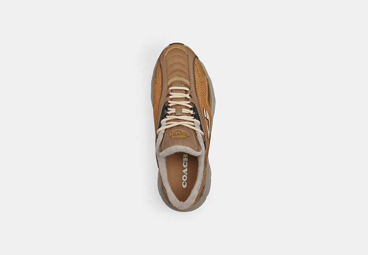 Bolt Runner Sneaker