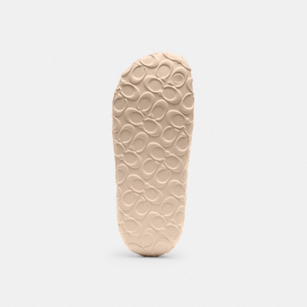 Bay Slide In Signature
