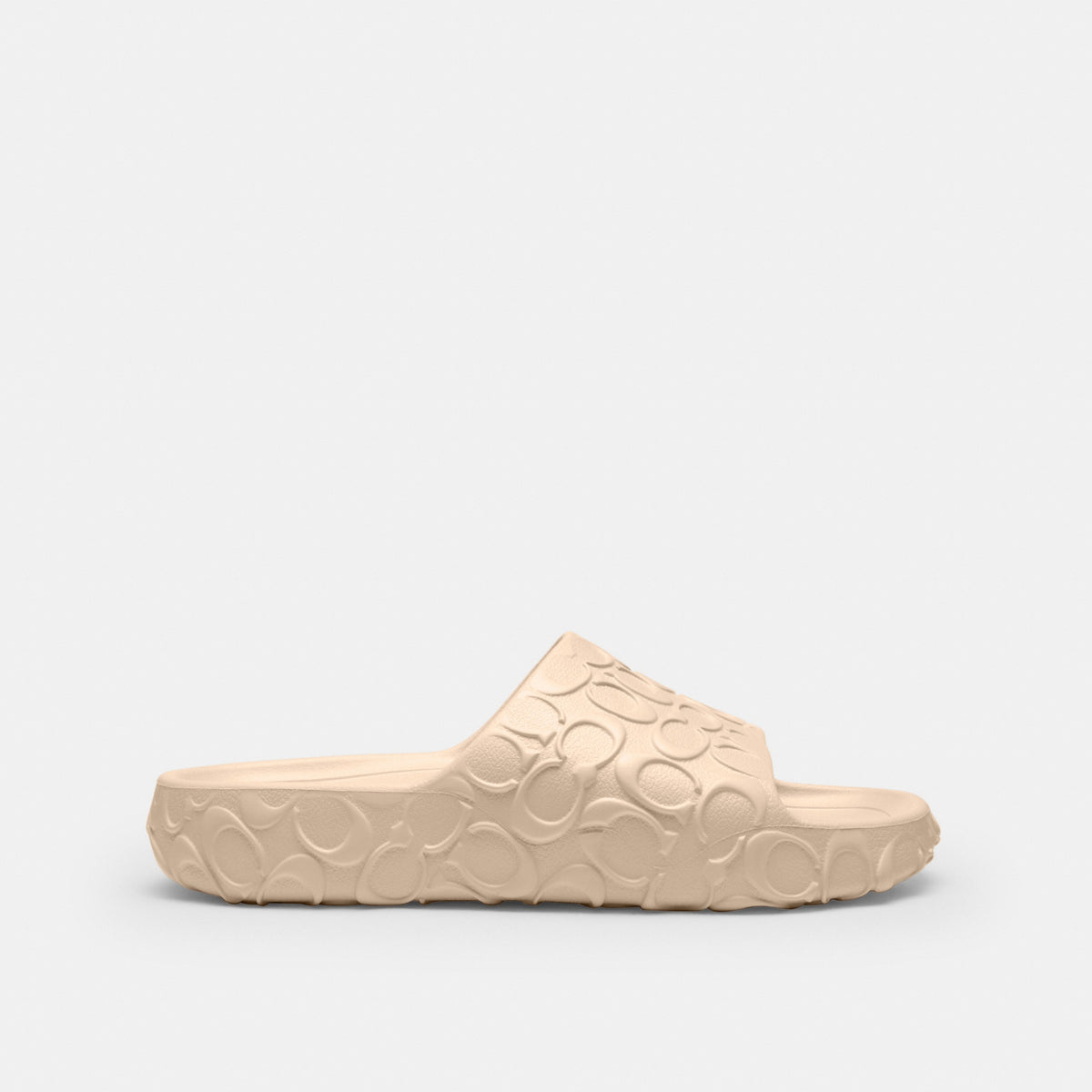 Bay Slide In Signature