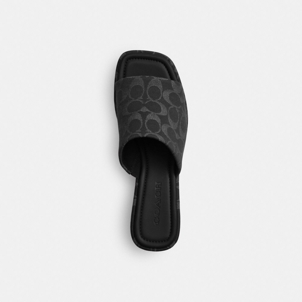 Phoebe Platform Sandal In Signature Denim