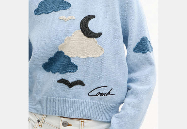 Applique Sweater