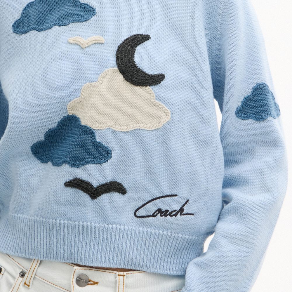 Applique Sweater