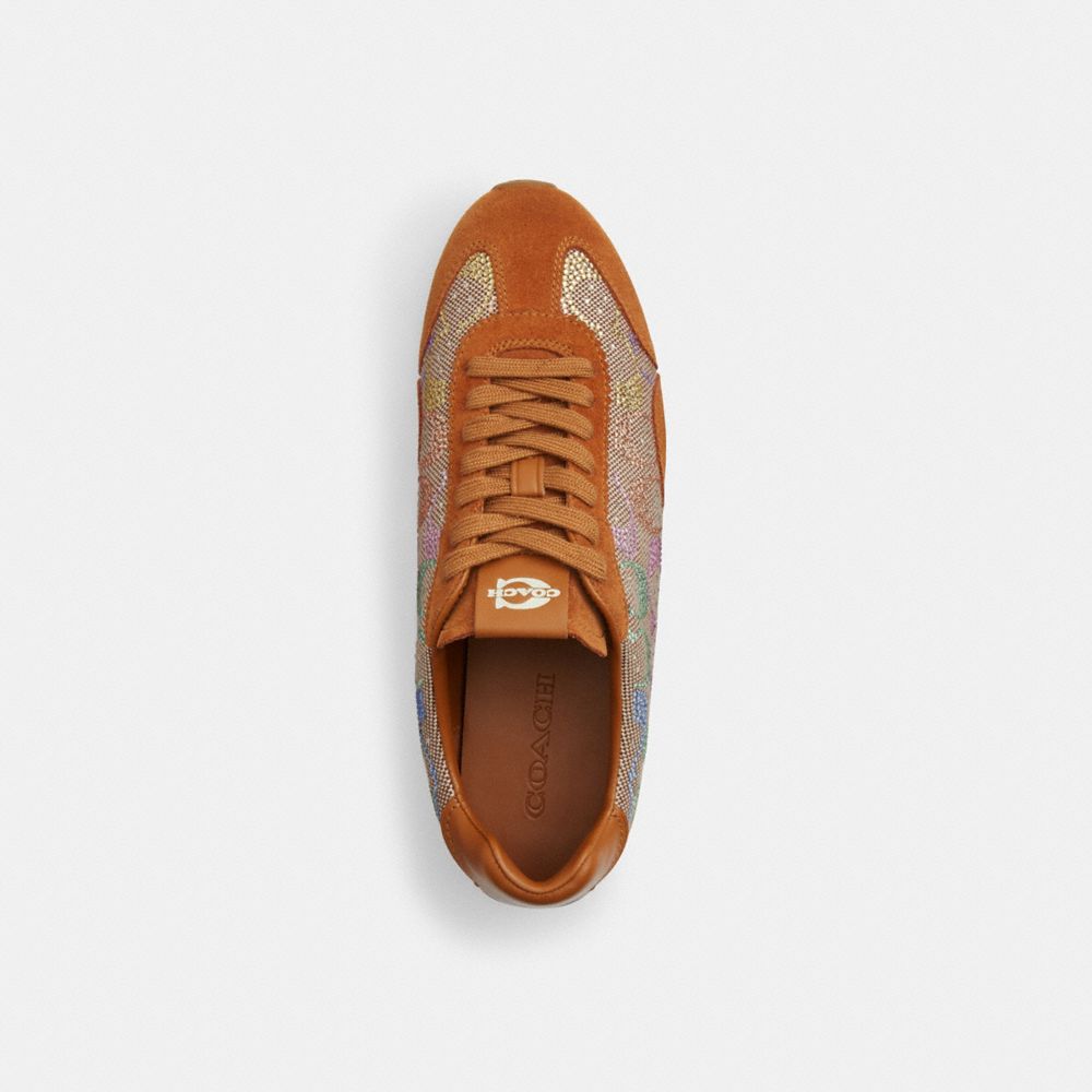 Flat Sneaker In Crystal Signature Jacquard