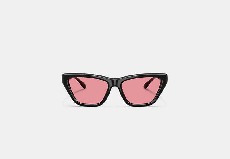 C Hardware Cat Eye Sunglasses
