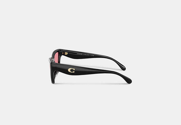 C Hardware Cat Eye Sunglasses