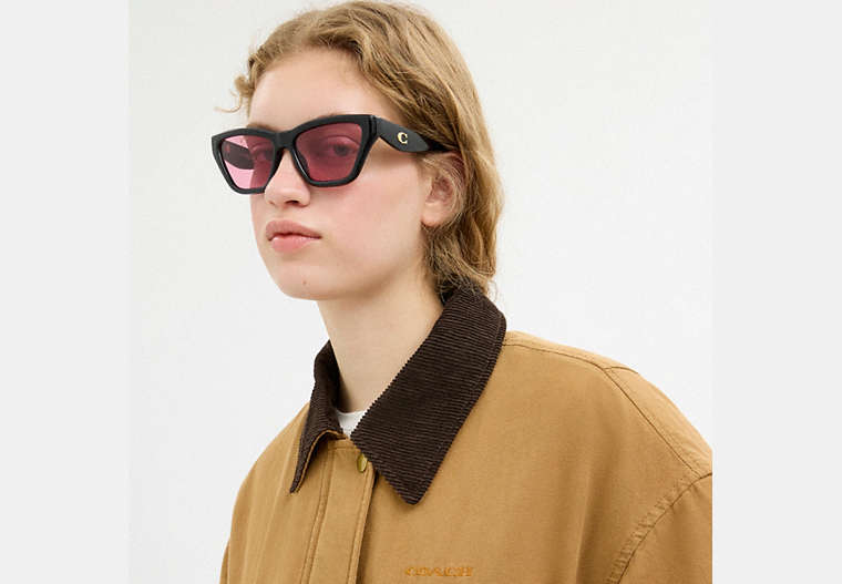 C Hardware Cat Eye Sunglasses