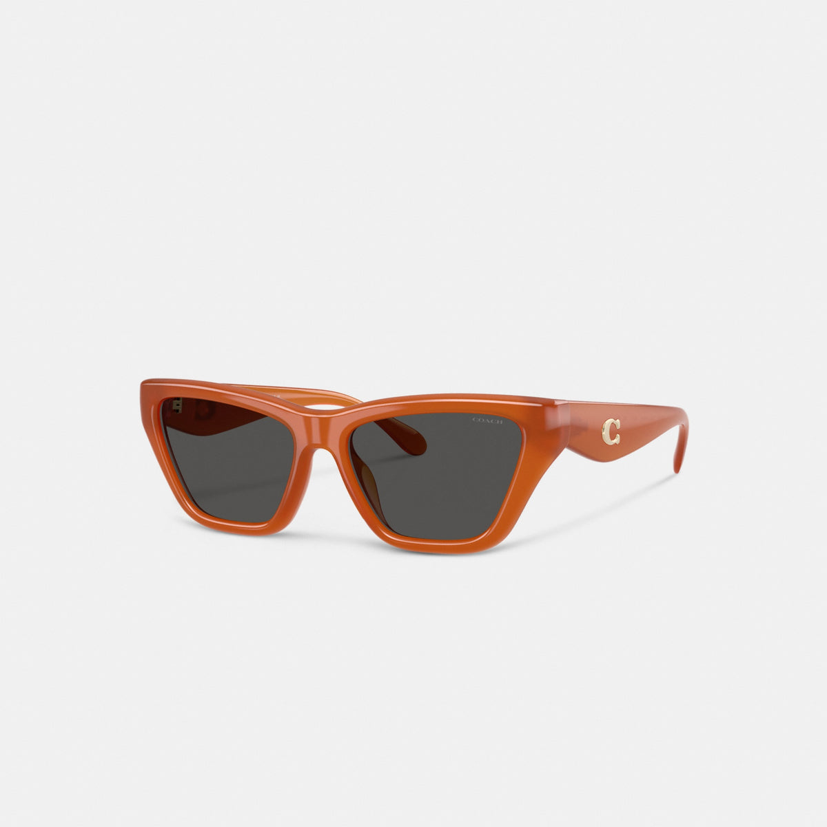 C Hardware Cat Eye Sunglasses