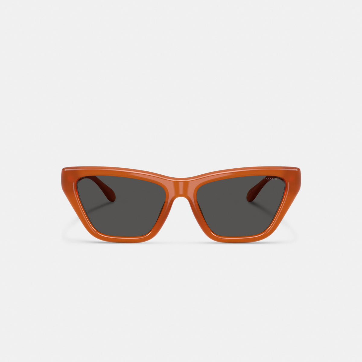 C Hardware Cat Eye Sunglasses