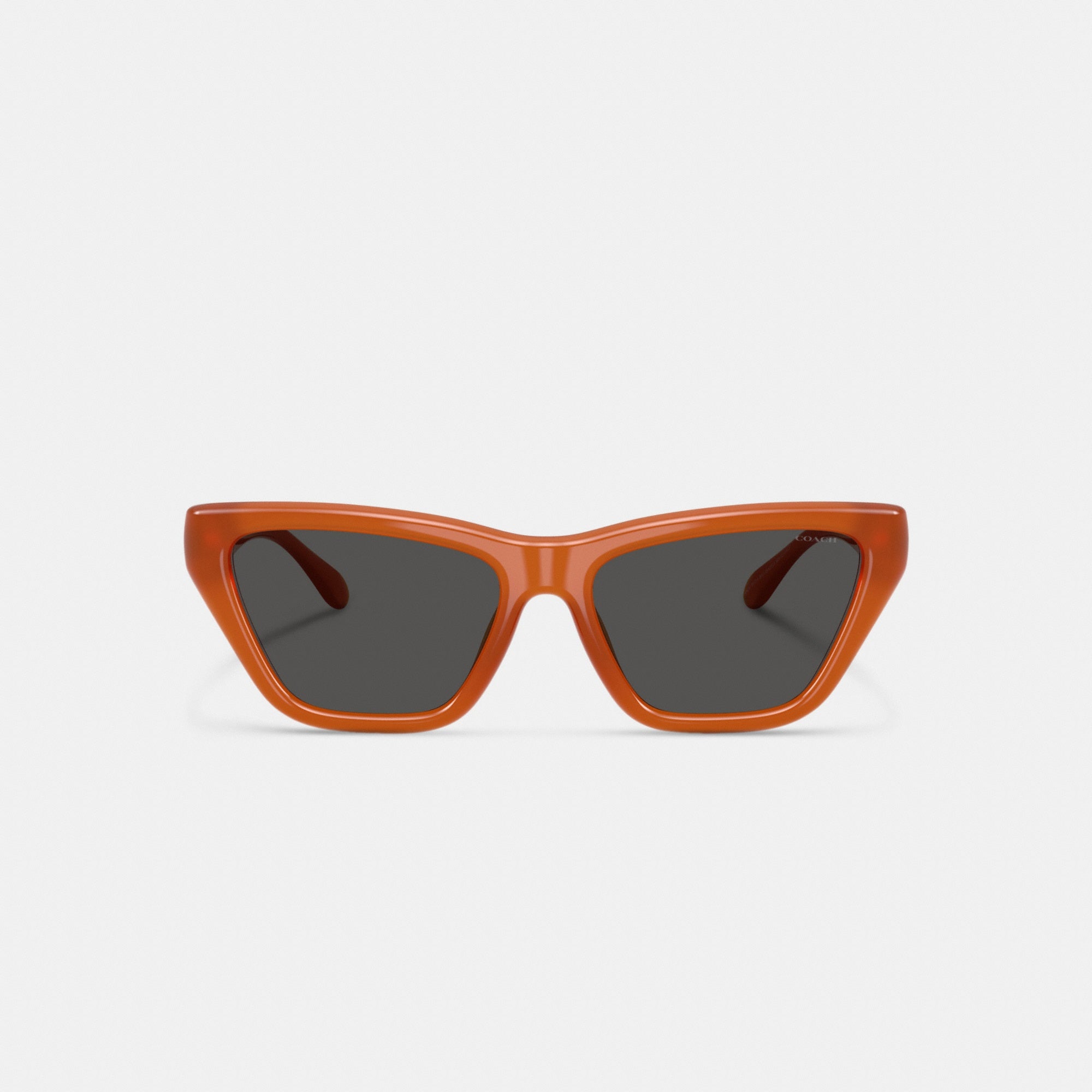 C Hardware Cat Eye Sunglasses
