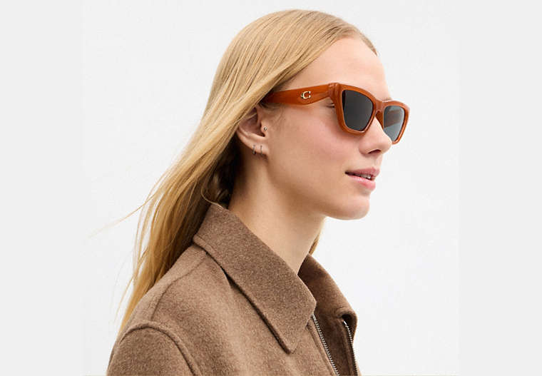 C Hardware Cat Eye Sunglasses