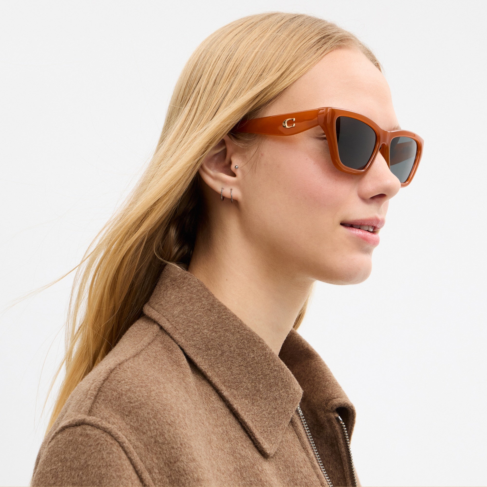 C Hardware Cat Eye Sunglasses