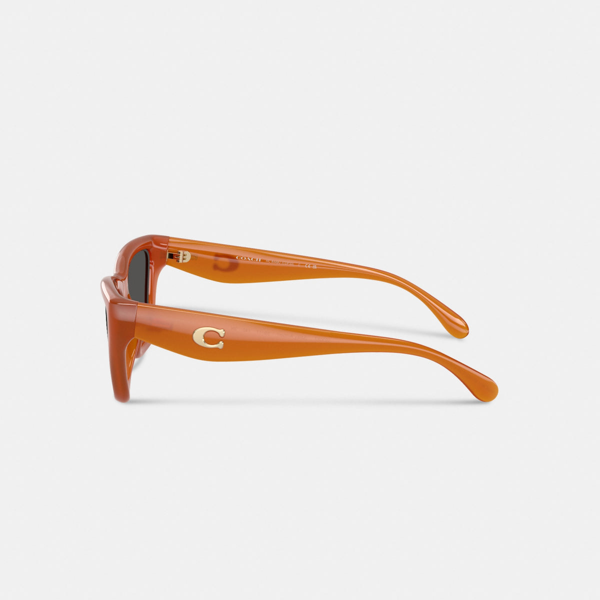 C Hardware Cat Eye Sunglasses