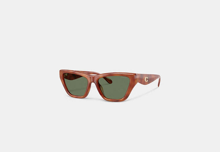 C Hardware Cat Eye Sunglasses