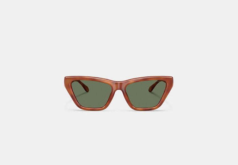 C Hardware Cat Eye Sunglasses