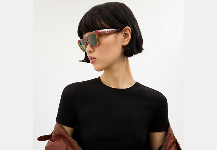 C Hardware Cat Eye Sunglasses
