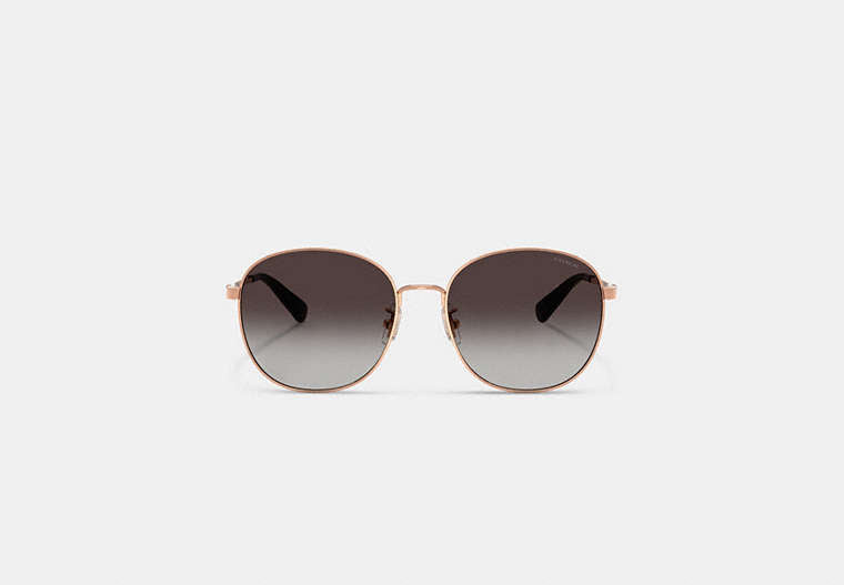 C Hardware Metal Round Sunglasses