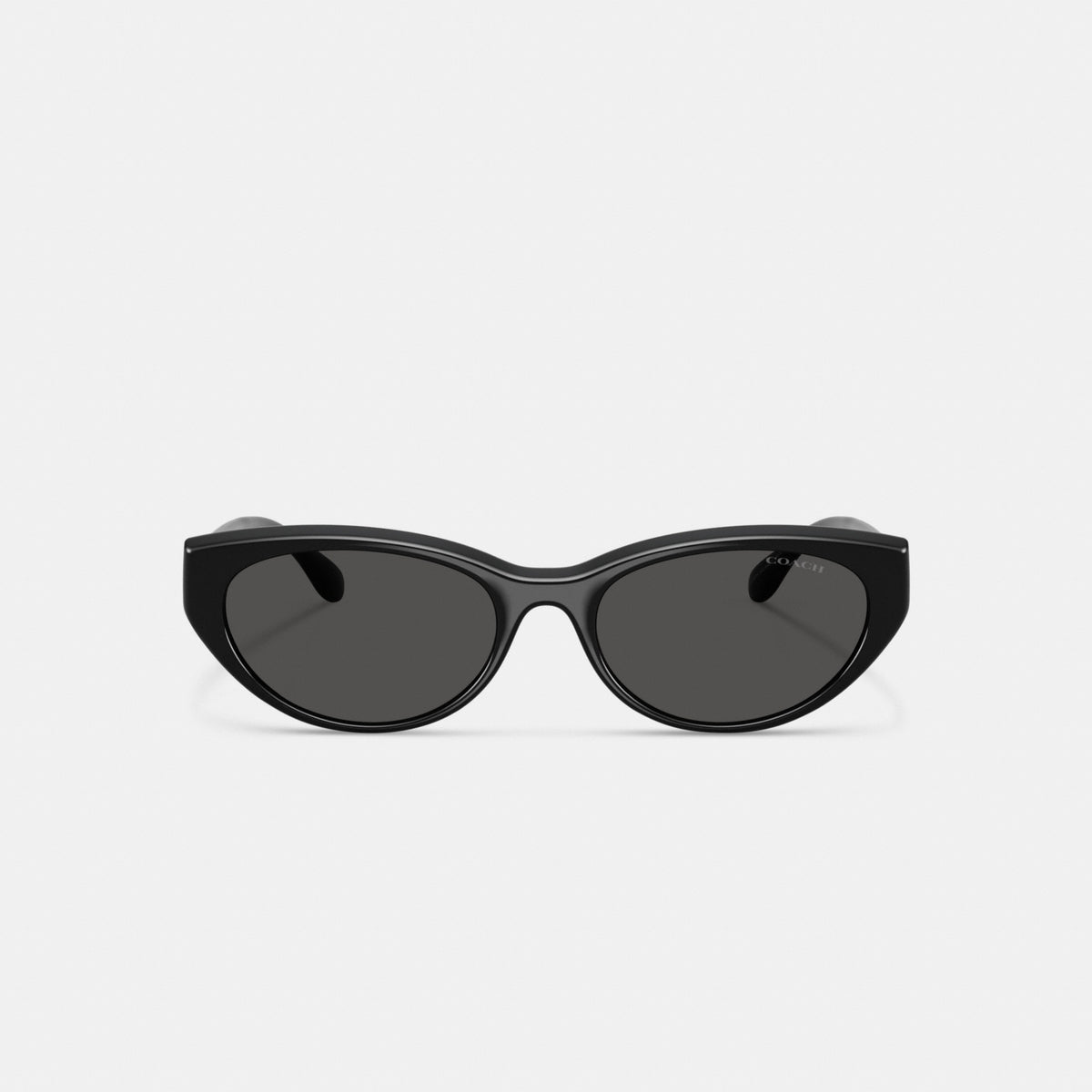 C Hardware Oval Cat Eye Sunglasses