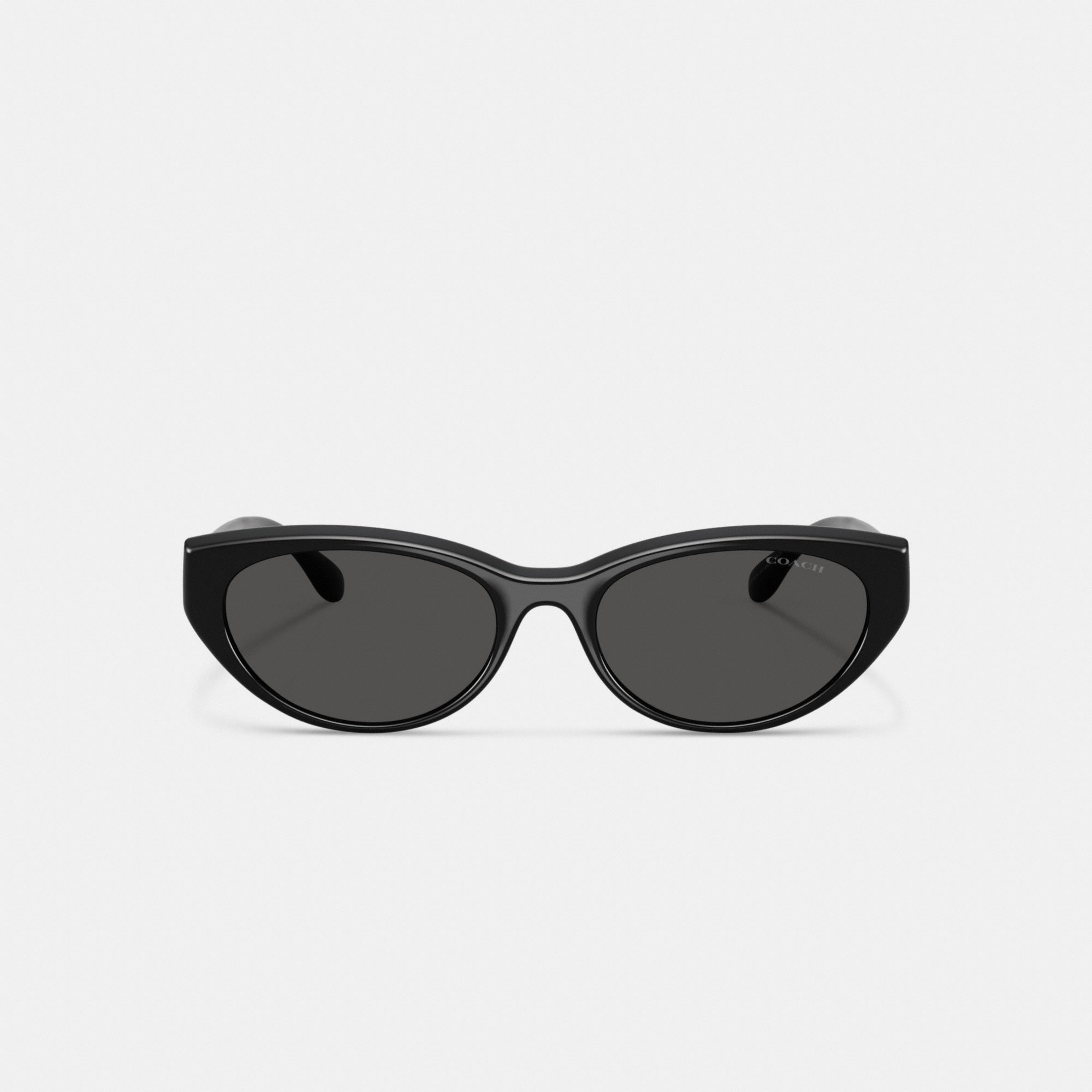 C Hardware Oval Cat Eye Sunglasses