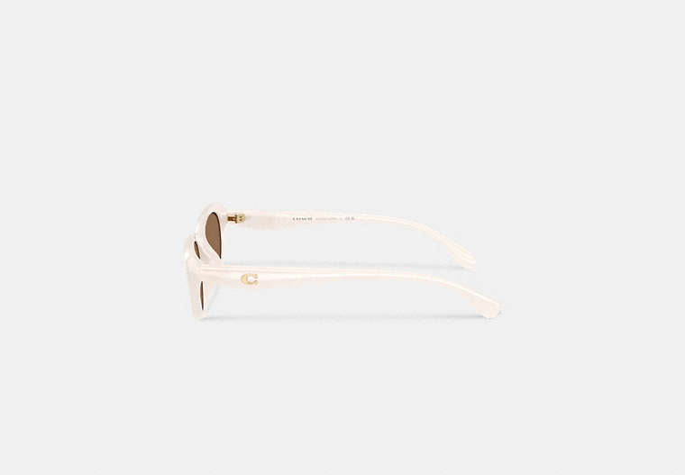 C Hardware Oval Cat Eye Sunglasses
