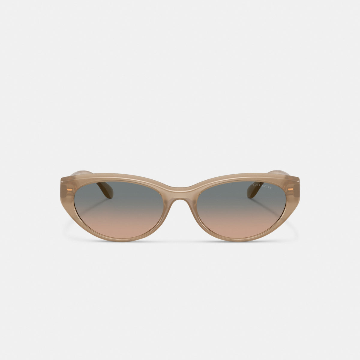 C Hardware Oval Cat Eye Sunglasses