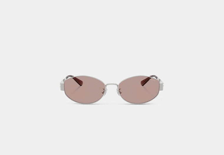 C Hardware Metal Narrow Oval Sunglasses