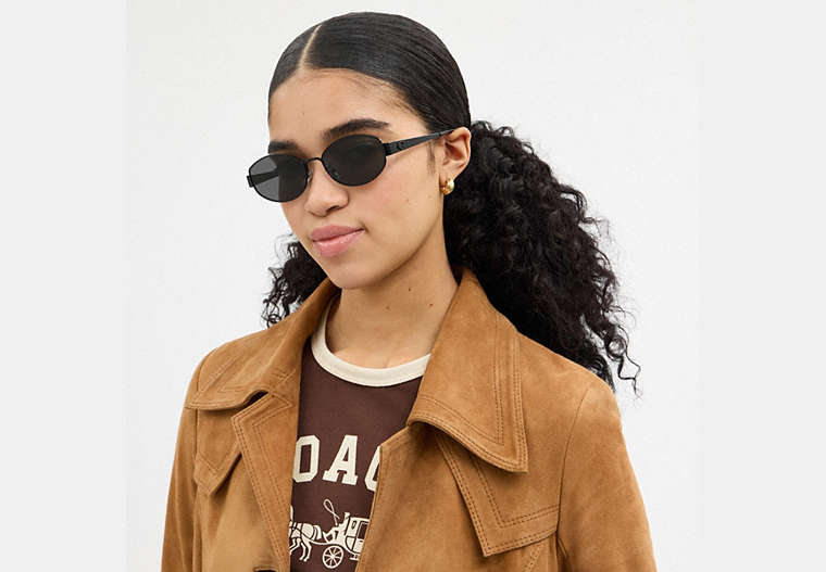 C Hardware Metal Narrow Oval Sunglasses