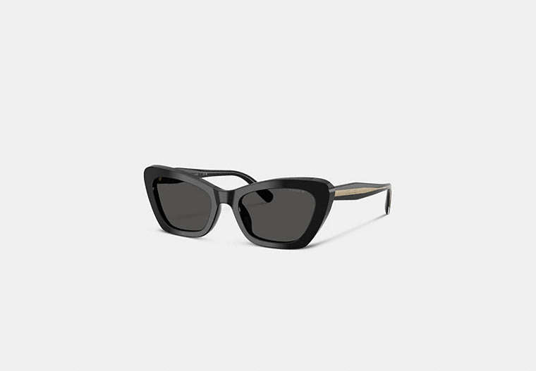 Wire Cat Eye Sunglasses