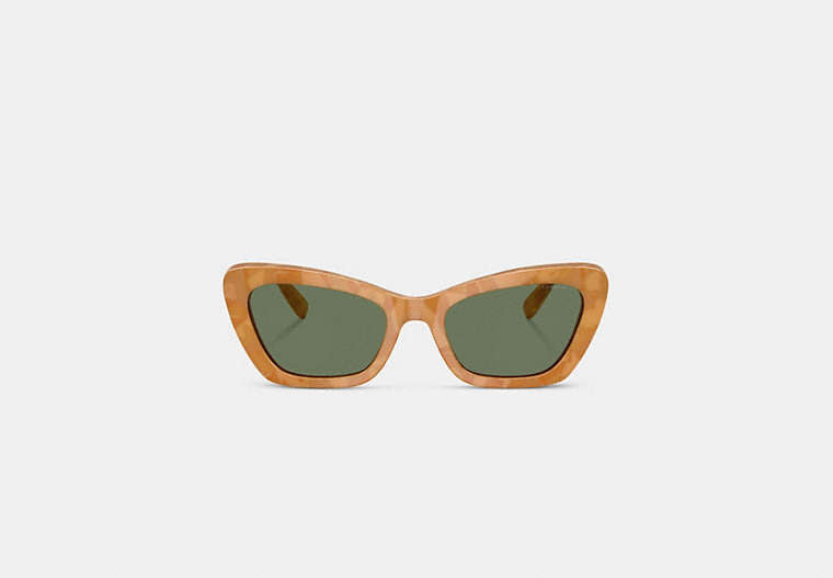 Wire Cat Eye Sunglasses