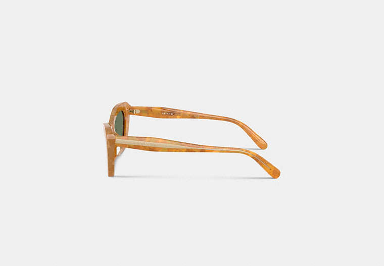 Wire Cat Eye Sunglasses