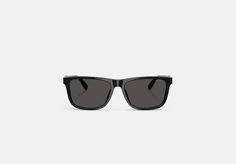 Square Sunglasses