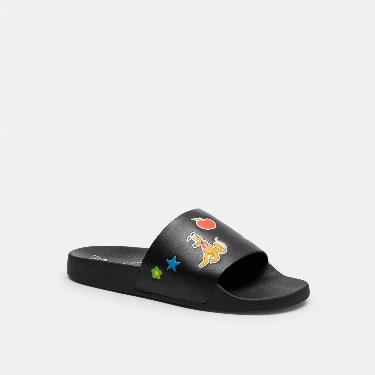 Pool Slide In Signature Canvas